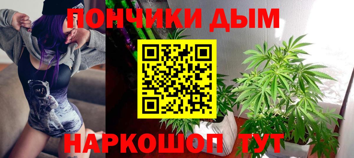 Каннабис индика  Бошки Шишки план  МАРИХУАНА THC 21%  Вход с VPN  Красноярск  Каннабис марихуана 